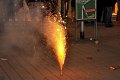 Silvester   007